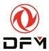 DFM